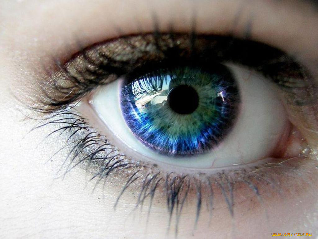 eye, , 